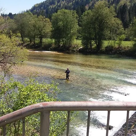 Дом отдыха Apartma Gracner