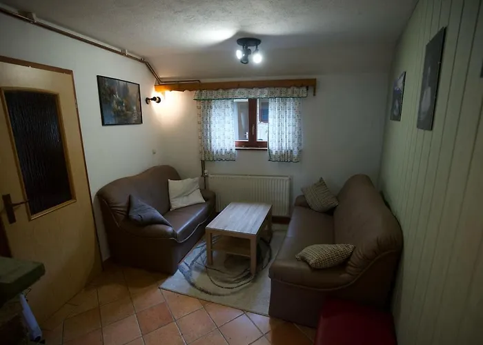 Apartma Gracner 別荘 *