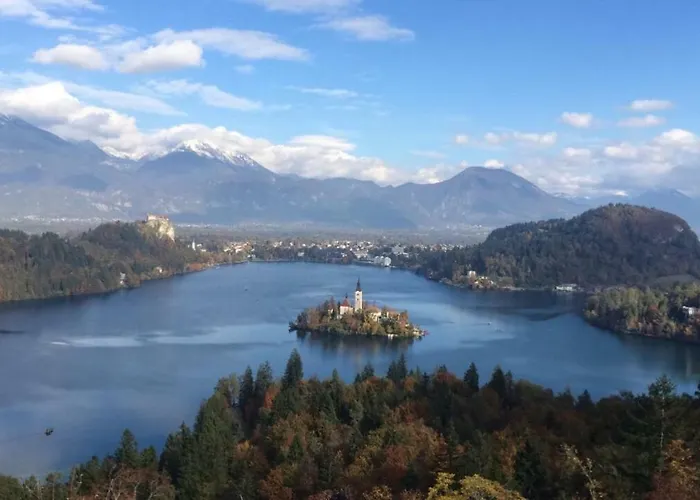 Apartma Gracner 別荘 *